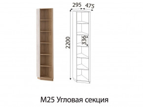 М25 Угловая секция в Миньяре - minyar.magazin-mebel74.ru | фото