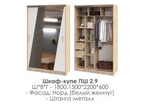 шкаф-купе ПШ-2.9 1500 Норд Белый жемчуг 1500 в Миньяре - minyar.magazin-mebel74.ru | фото