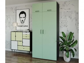 Шкаф распашной 1050А Фисташка в Миньяре - minyar.magazin-mebel74.ru | фото