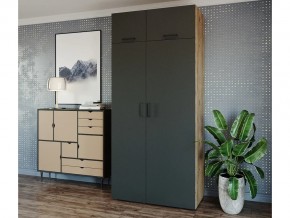 Шкаф распашной 1050К Антрацит в Миньяре - minyar.magazin-mebel74.ru | фото