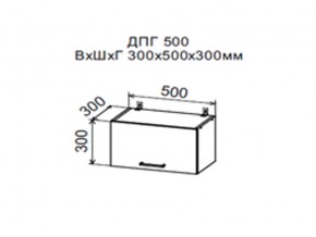 Шкаф верхний ДПГ500 горизонтальный в Миньяре - minyar.magazin-mebel74.ru | фото