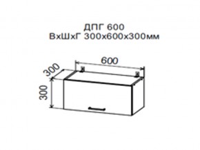 Шкаф верхний ДПГ600 горизонтальный в Миньяре - minyar.magazin-mebel74.ru | фото