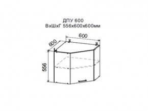 Шкаф верхний ДПУ600 угловой в Миньяре - minyar.magazin-mebel74.ru | фото