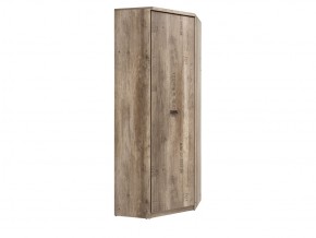 Шкаф угловой SZFN 1D Малькольм в Миньяре - minyar.magazin-mebel74.ru | фото