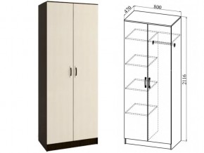 ШКР800.2 Шкаф 2х-створчатый комби в Миньяре - minyar.magazin-mebel74.ru | фото